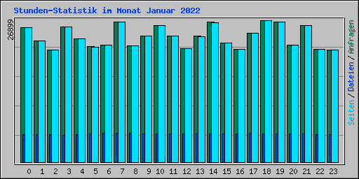 Stunden-Statistik im Monat Januar 2022