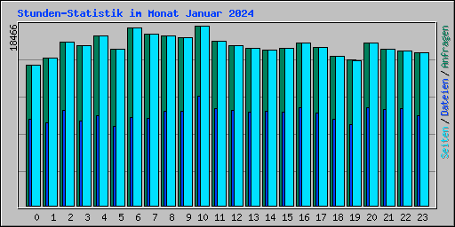 Stunden-Statistik im Monat Januar 2024