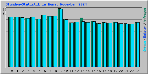 Stunden-Statistik im Monat November 2024