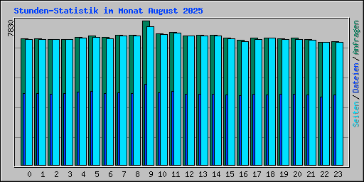 Stunden-Statistik im Monat August 2025