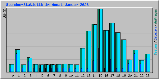Stunden-Statistik im Monat Januar 2026