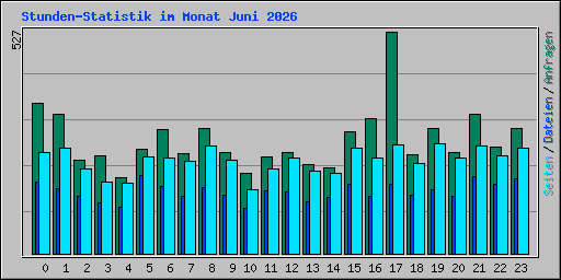 Stunden-Statistik im Monat Juni 2026