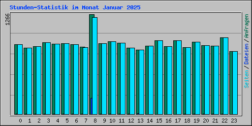 Stunden-Statistik im Monat Januar 2025