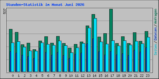 Stunden-Statistik im Monat Juni 2026