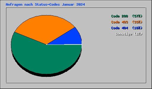 Anfragen nach Status-Codes Januar 2024